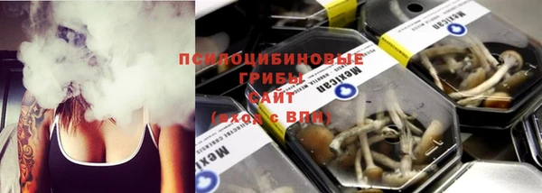 синтетический гашиш Алексин