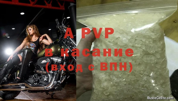 крисы Алзамай