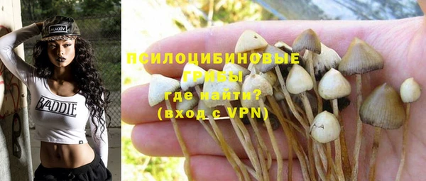 синтетический гашиш Алексин